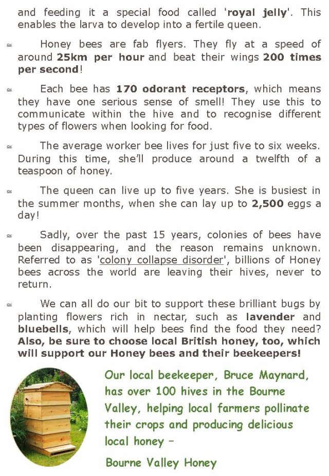 Bee Info_Page_4