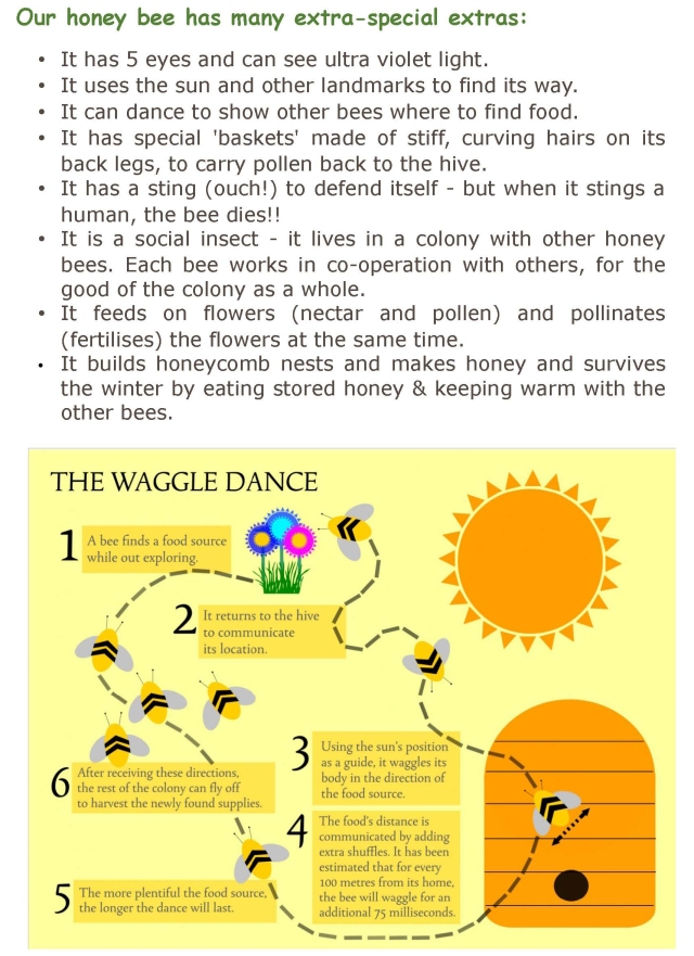 Bee Info_Page_5
